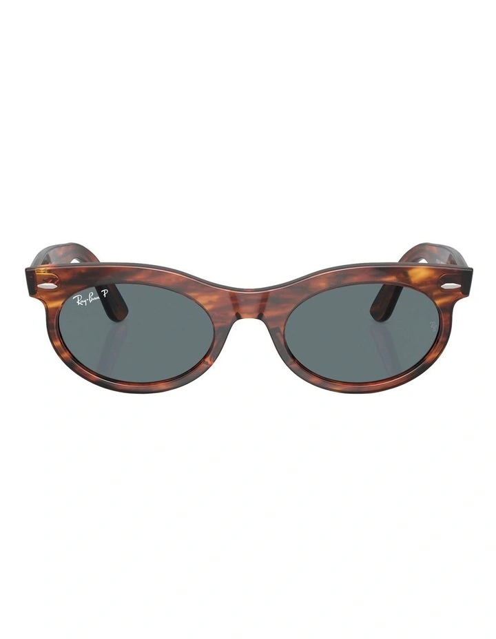 Wayfarer Oval Polarised Sunglasses in Brown