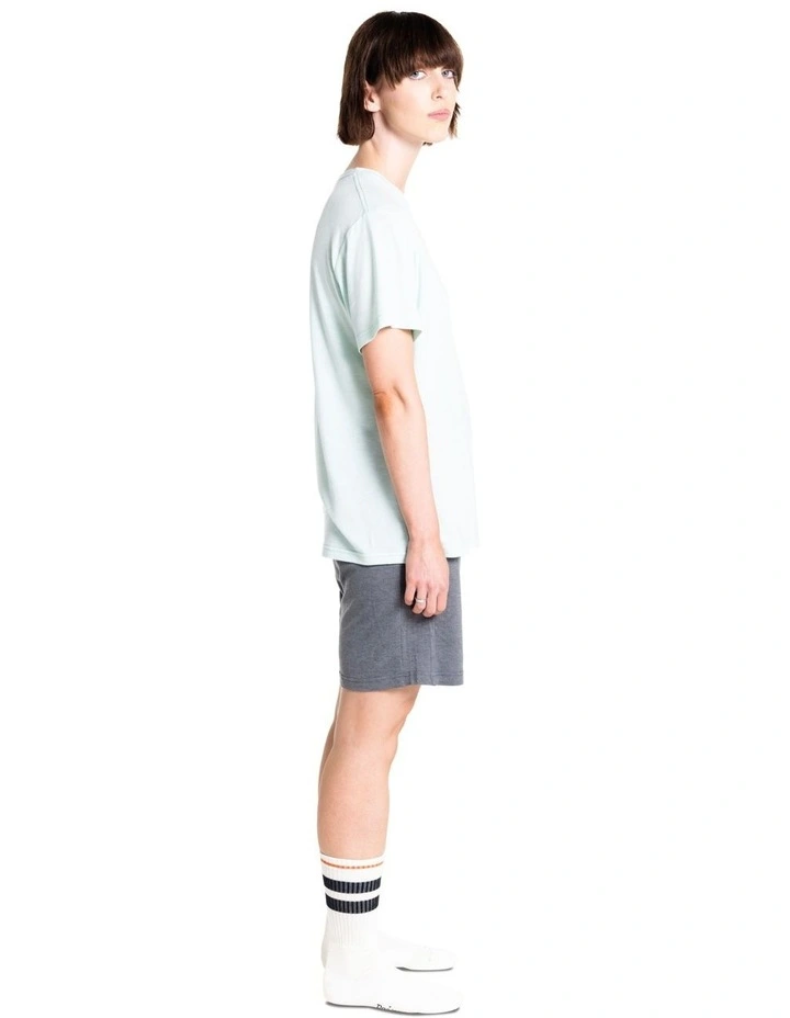 Classic T-shirt in Pistachio