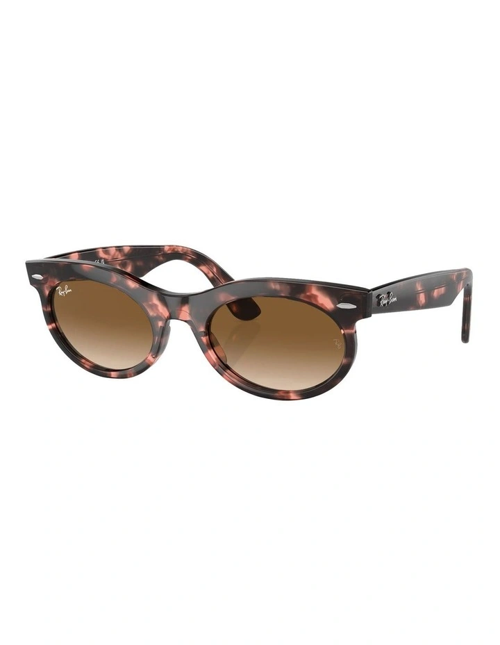 Wayfarer Oval Sunglasses in Pink