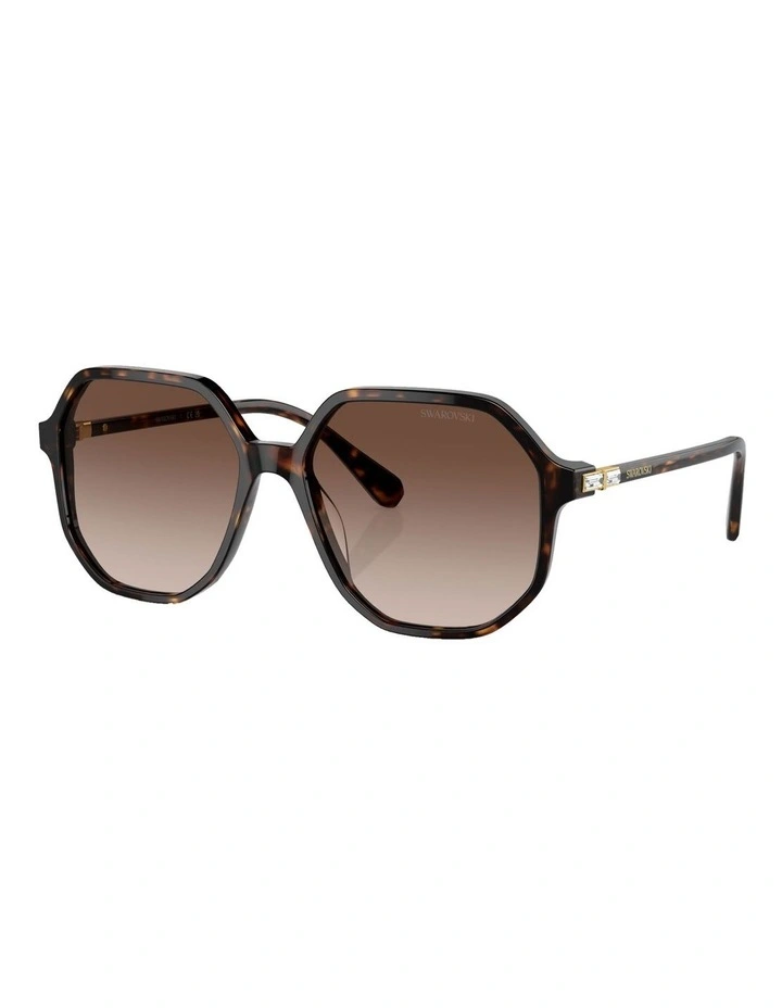 SK6003 Sunglasses in Tortoise