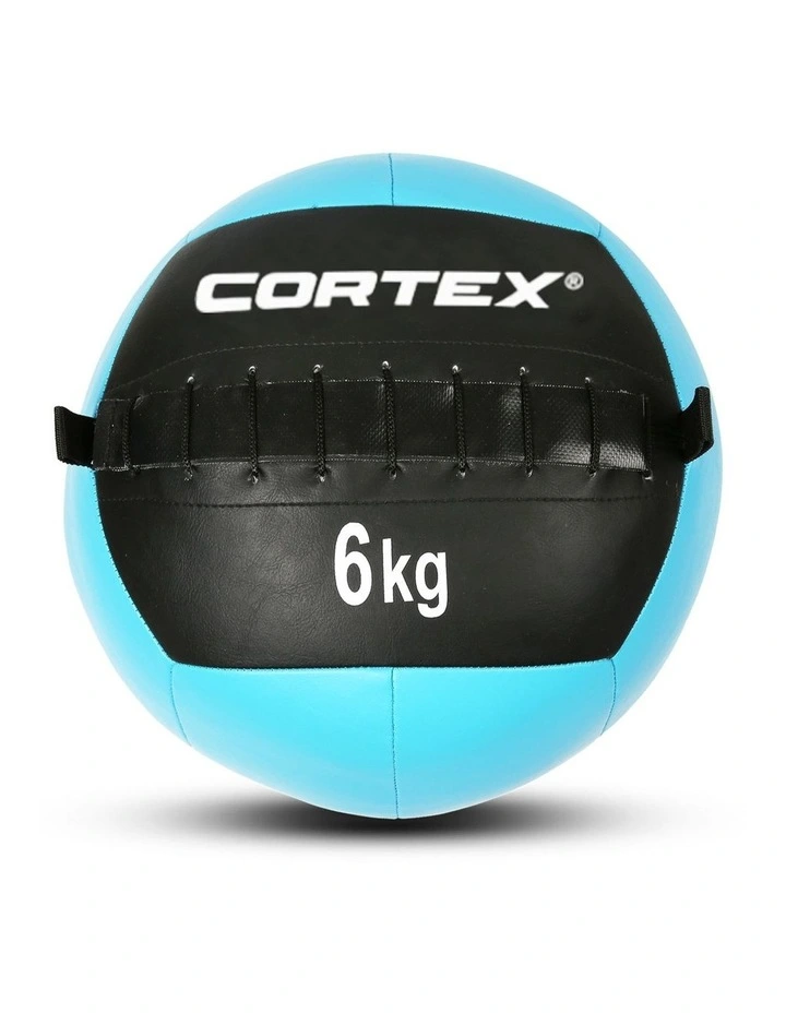 Wall Ball 6kg in Blue