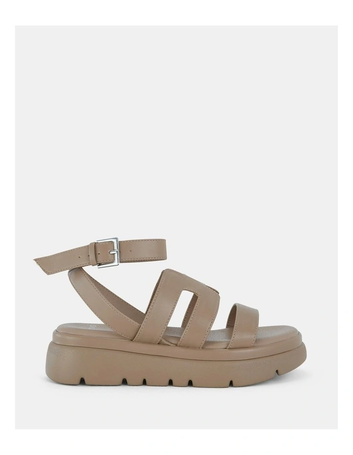 Bolzano Wedges in Toffee