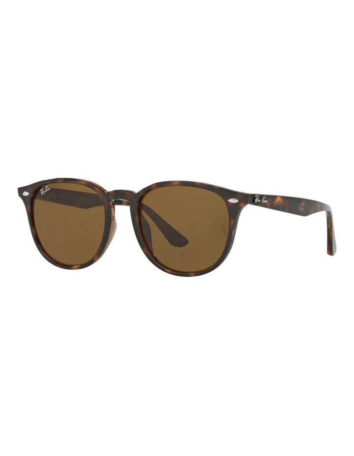 Brown RB4259F Sunglasses
