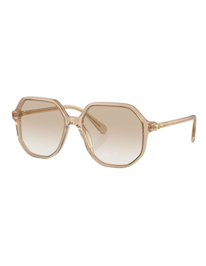 SK6003 Sunglasses in Brown
