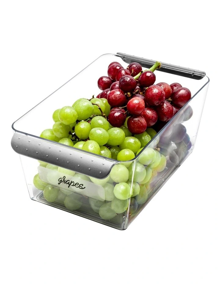 Short Deep Bin 25.5 X 15.2 X 10.6cm in CLear