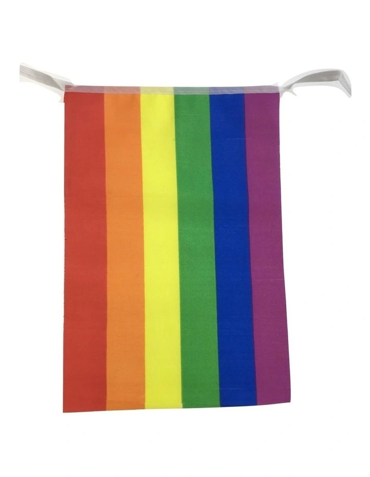 Rainbow Bunting Flag 10X 3.6M in Multi
