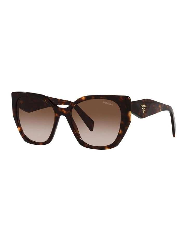0PR 19ZSF Sunglasses in Tortoise