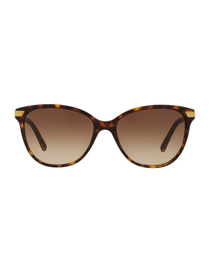 BE4216 Brown Sunglasses