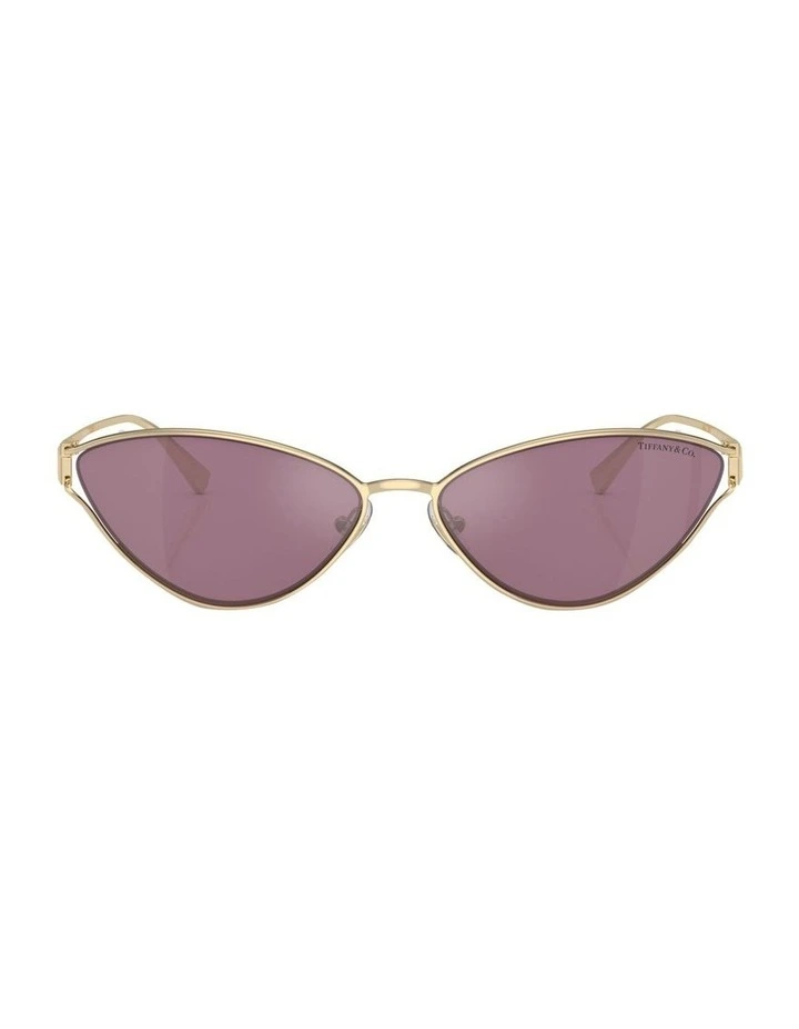 TF3095 Sunglasses in Gold
