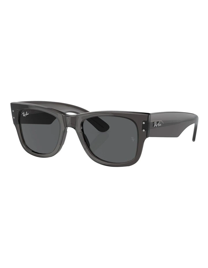 Mega Wayfarer Sunglasses in Black