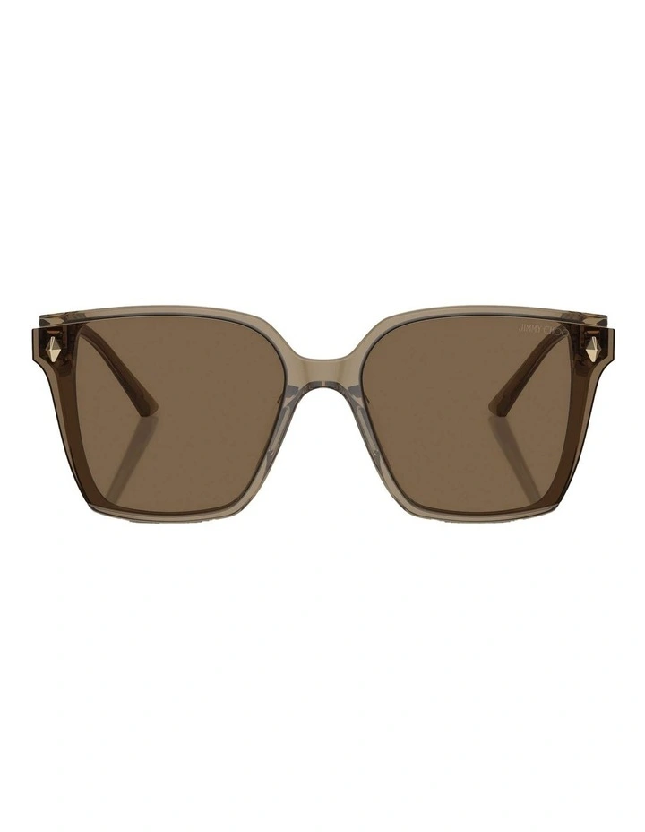 Sunglasses in Brown