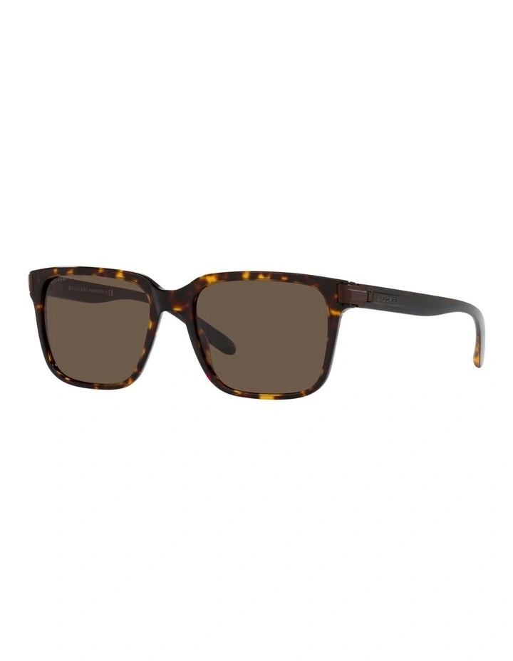 BV7036 Tortoise Sunglasses