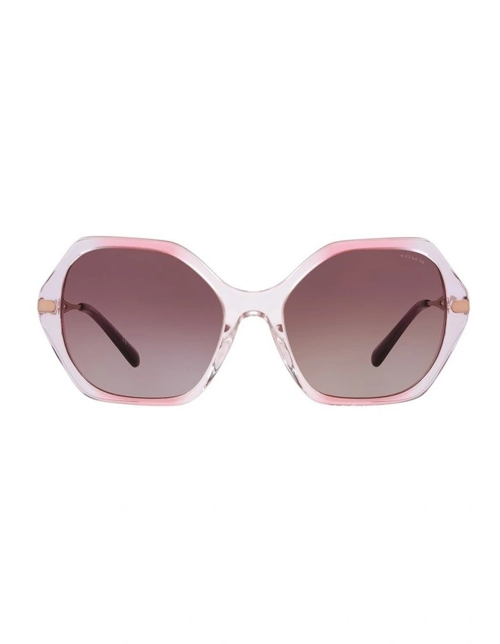 HC8315 C3445 Violet Sunglasses