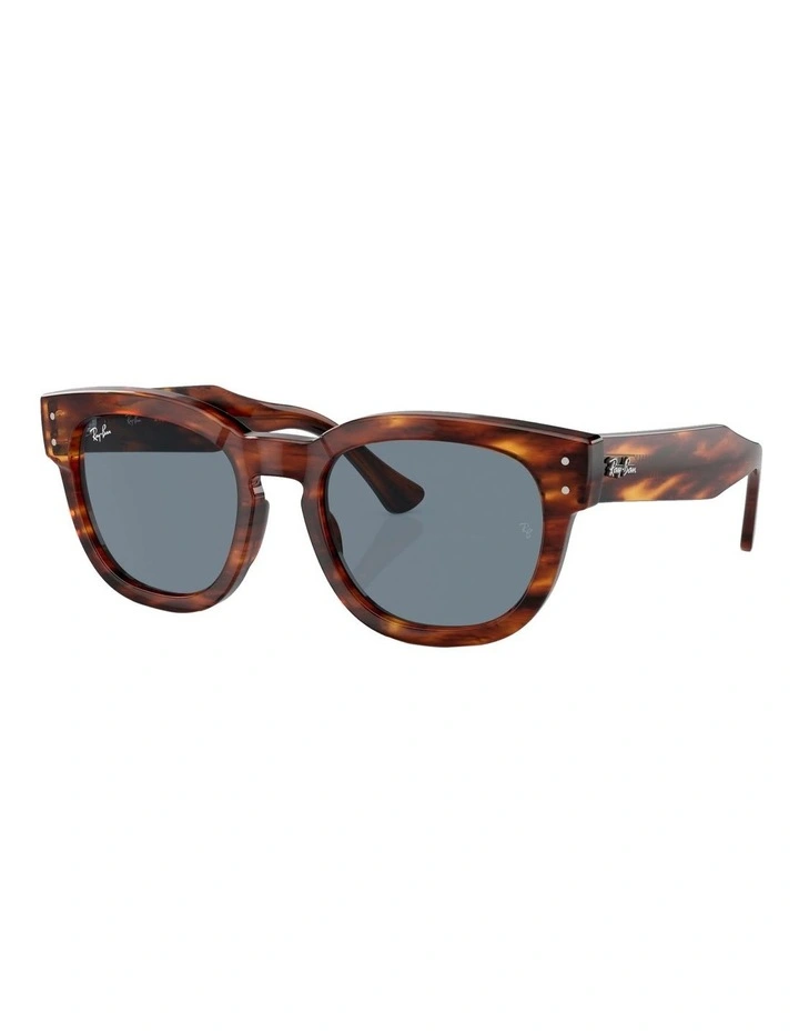 Mega Hawkeye Sunglasses in Brown