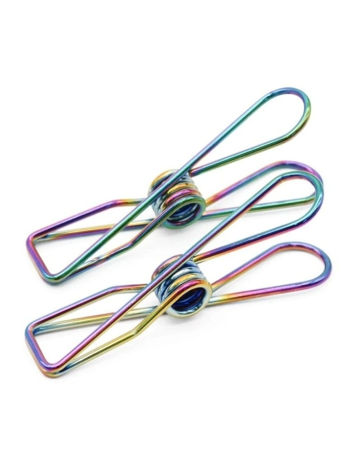 Large Stainless Steel Pegs 40 Pack in Rainbow