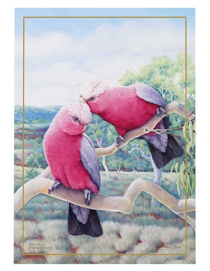 Birds of Australia KC 10yr Anniversary Tea Towel 50x70cm in Galah Print