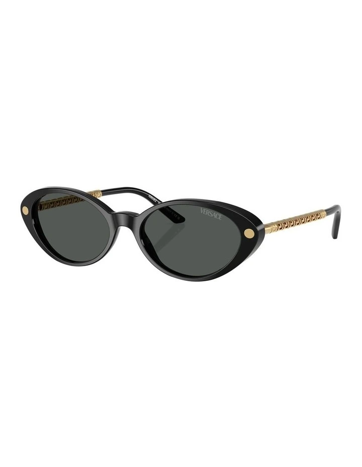VE4469 Sunglasses in Black