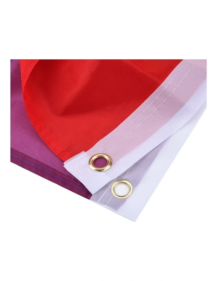 Deluxe Progress Gay Pride Flag 150x90cm in Rainbow