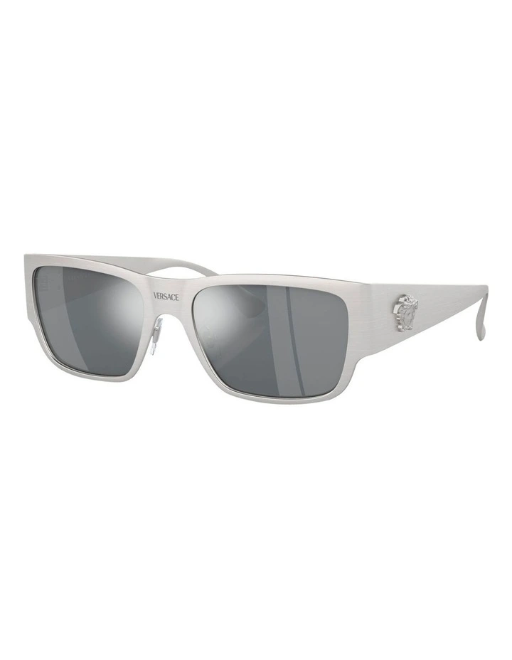 VE2262 Sunglasses in Silver