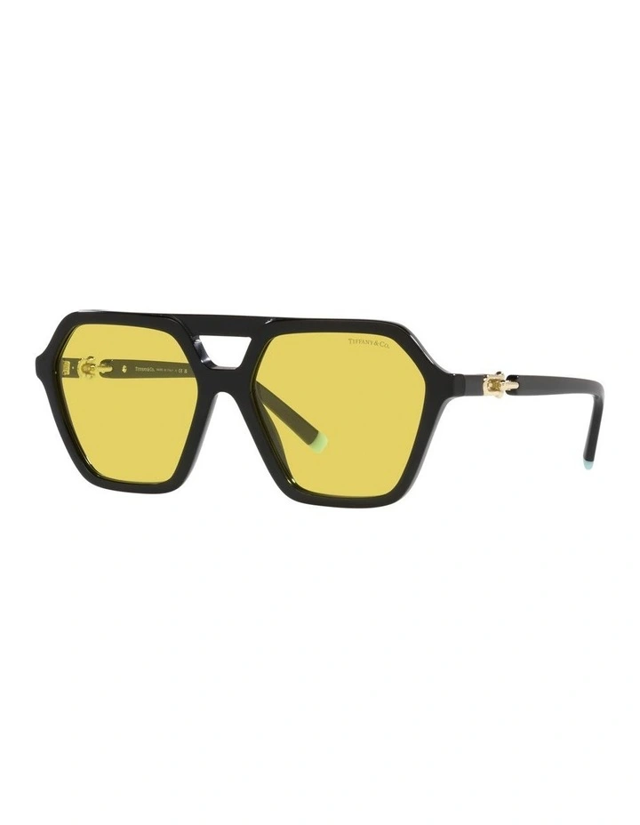 0TF4198 Sunglasses In Black