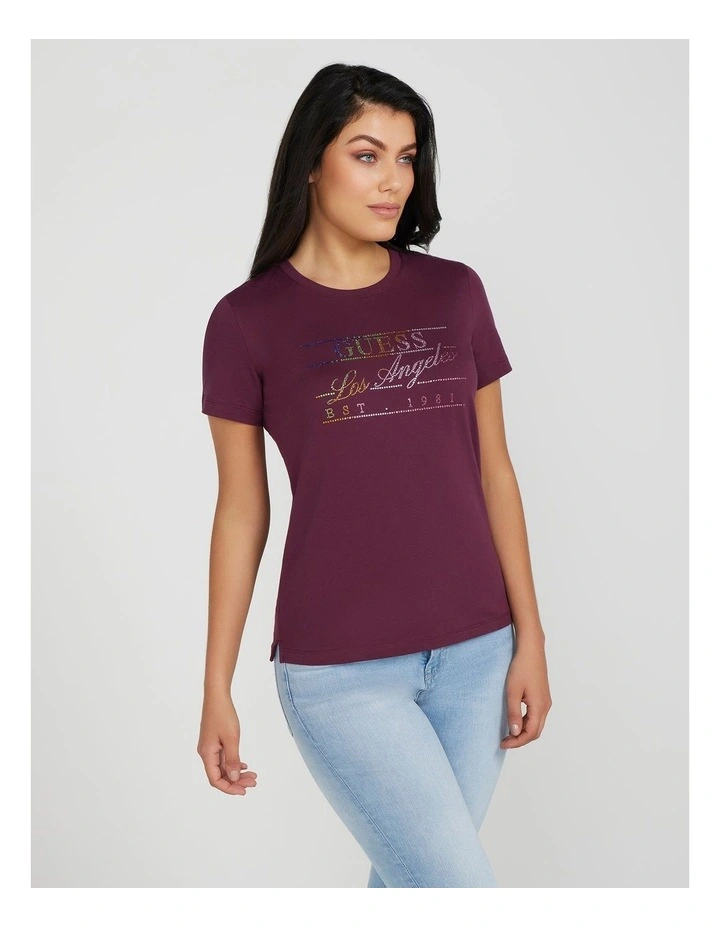 Rainbow Tee in Black Cherry