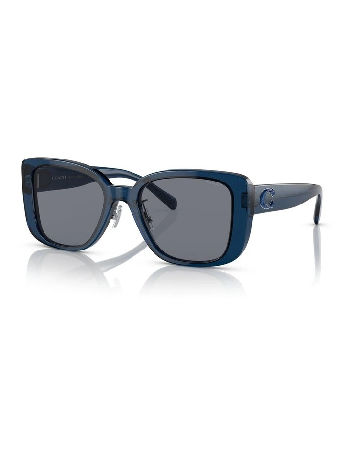 CD472 Sunglasses in Transparent Blue