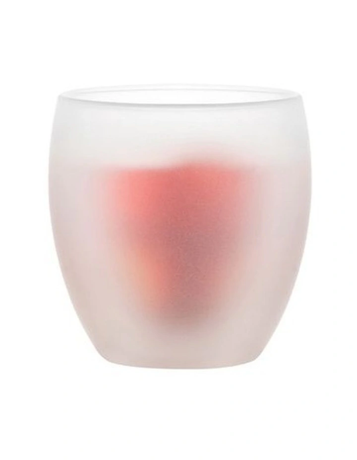 Pavina Double Wall Glass With Silicone Covering Set of 2
