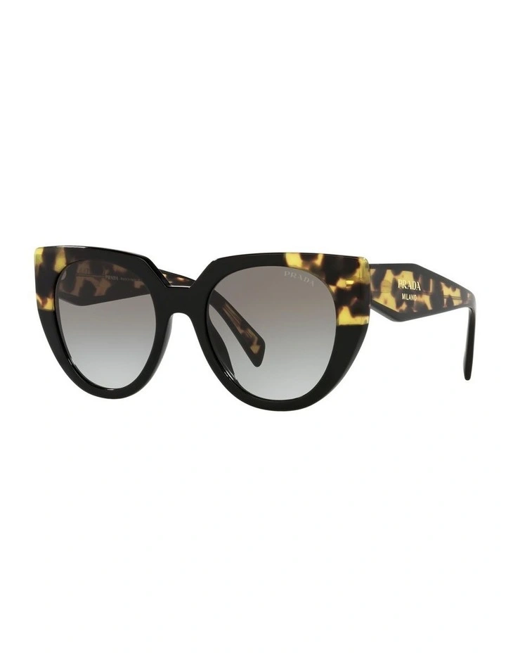PR 14WS Tortoise Sunglasses