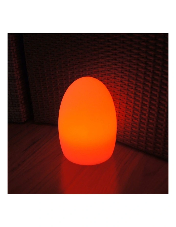 LED Egg Lamp