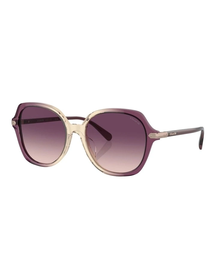 CL925 Sunglasses in Multicolor
