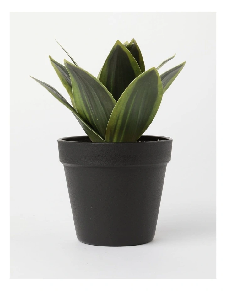 Agave Succulent Artificial Plant 19x19x22cm in Green