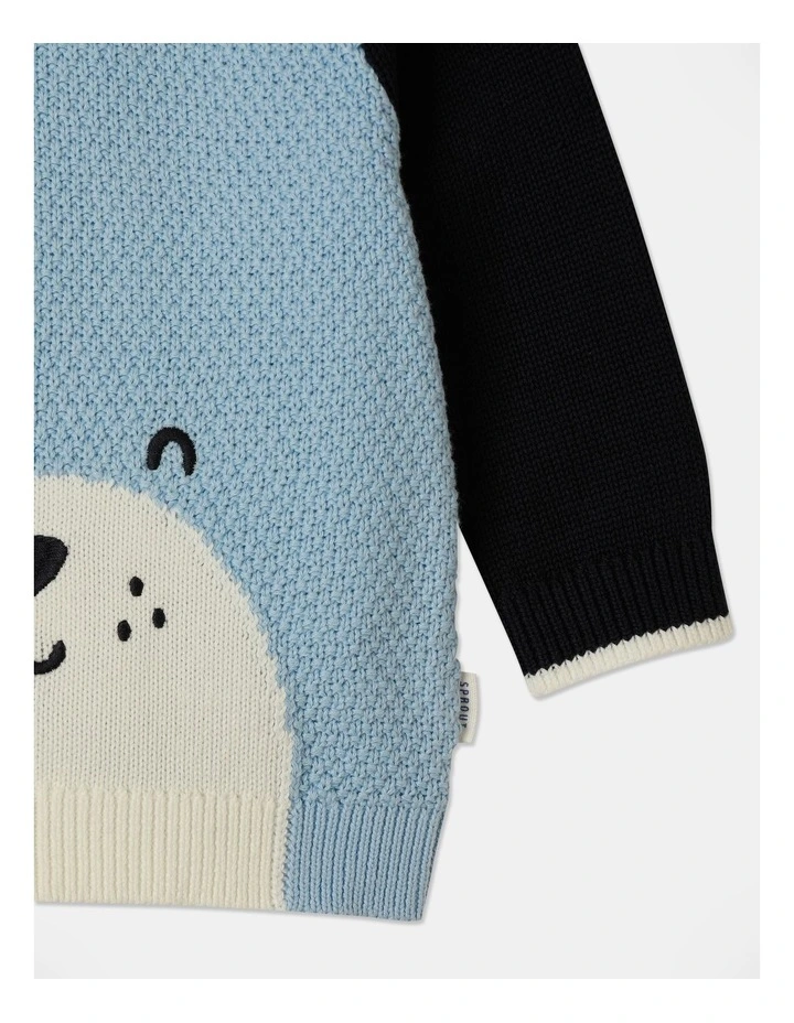 Knit Raglan Crew Novelty Jumper in Blue