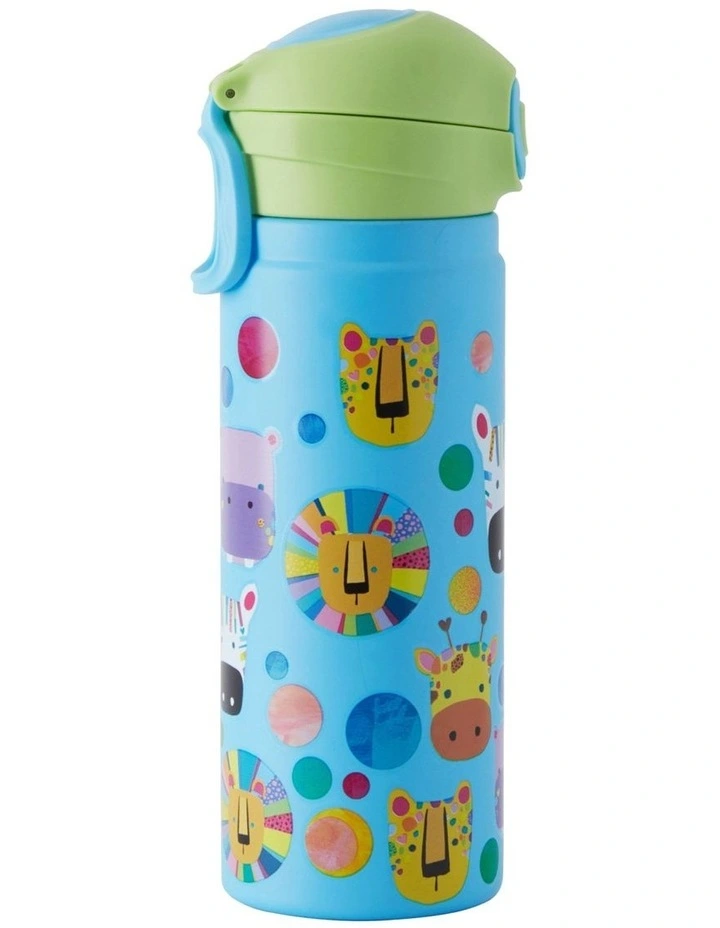 Double Wall Insulated Bottle 550ml in Mixed Colors