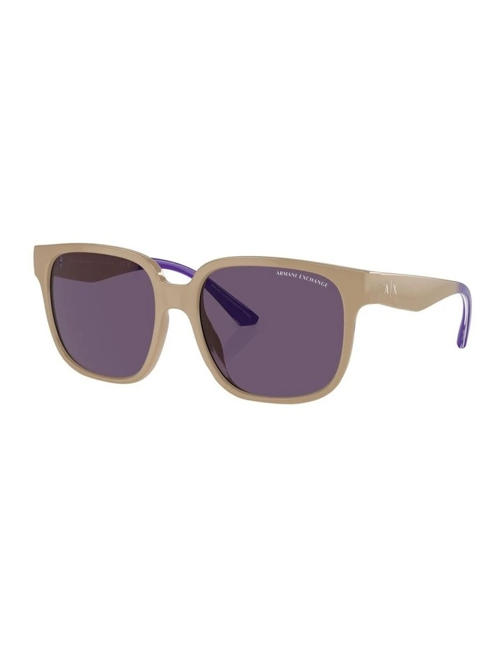 AX4136SU Sunglasses in Brown