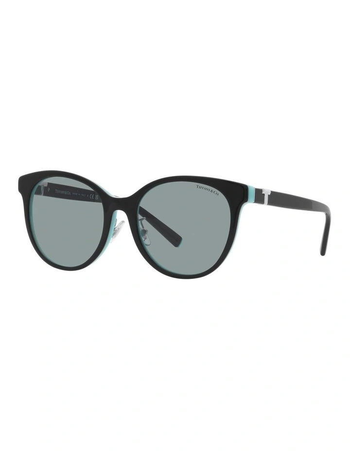 TF4209D Sunglasses in Black