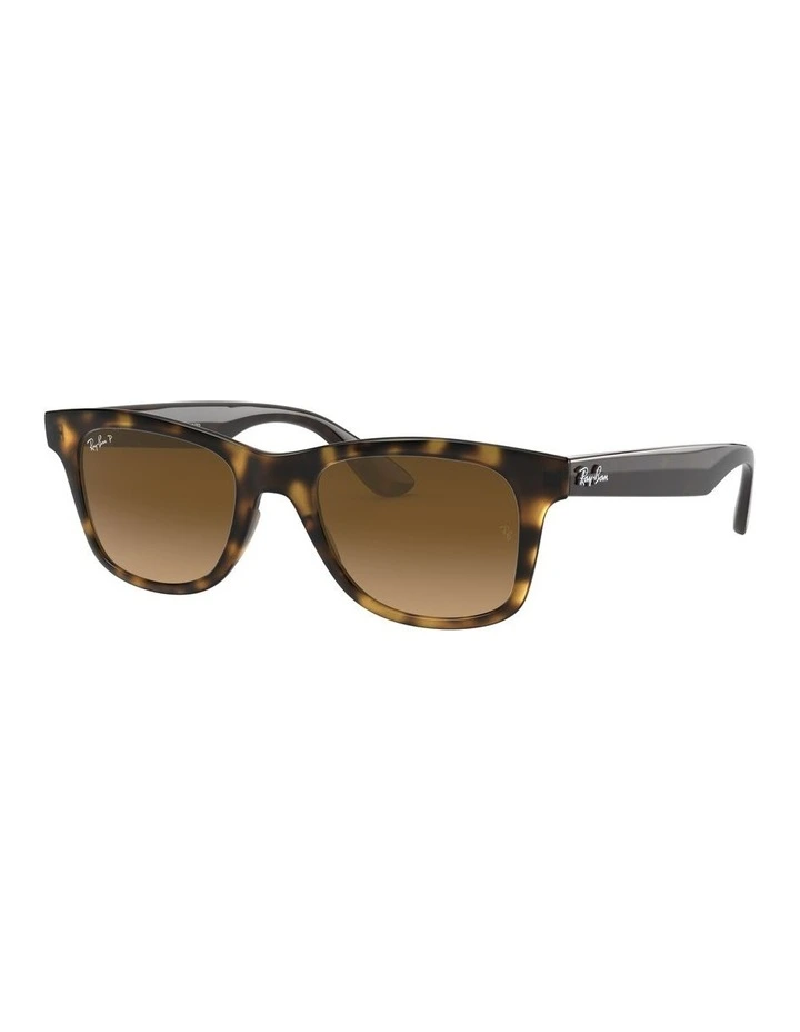 RB4640 Brown Polarised Sunglasses