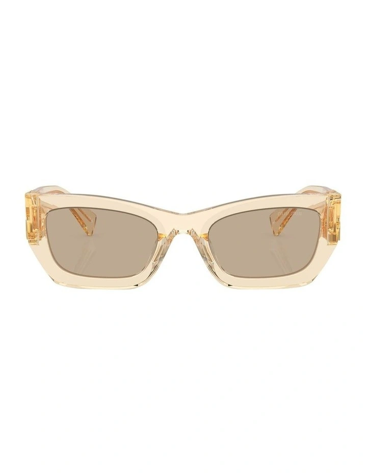 MU 09WS Sunglasses in Brown