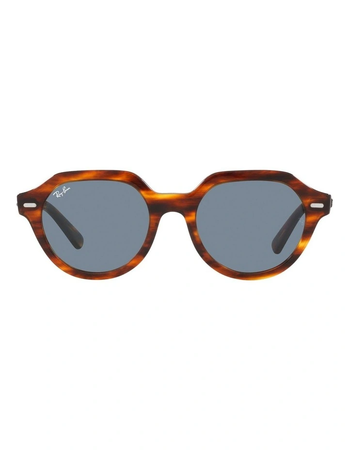 Gina Sunglasses in Brown