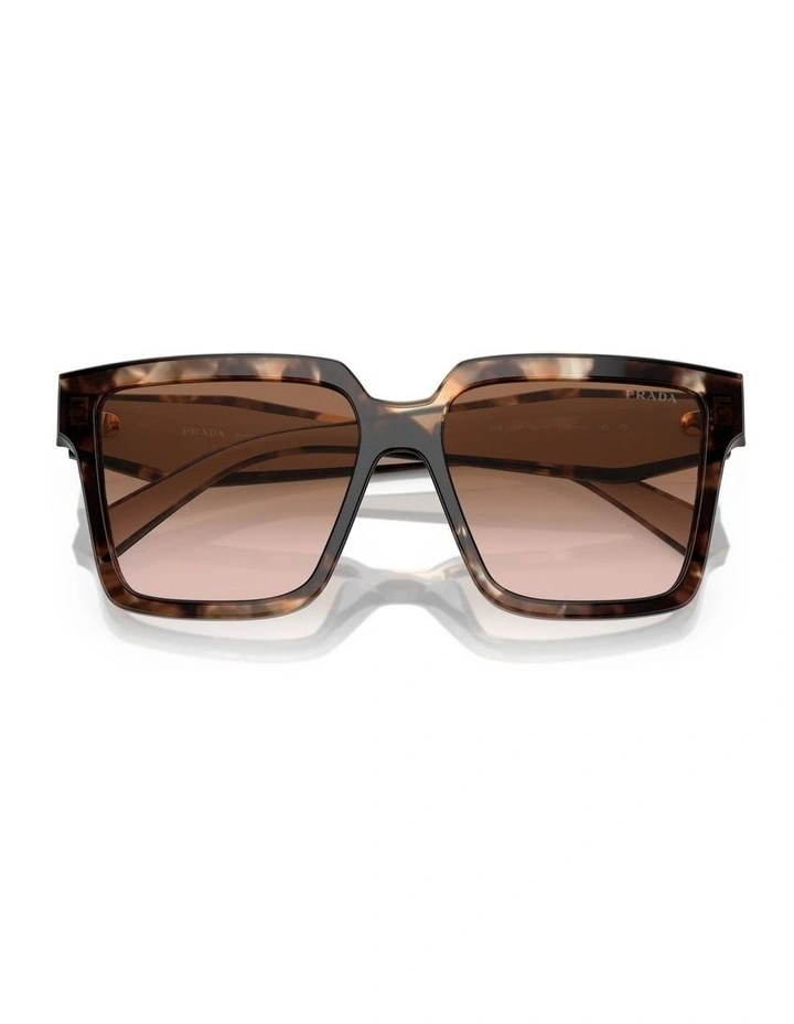 VE2251 Sunglasses in Gold