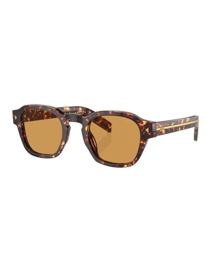 PR A16S Sunglasses in Tortoise