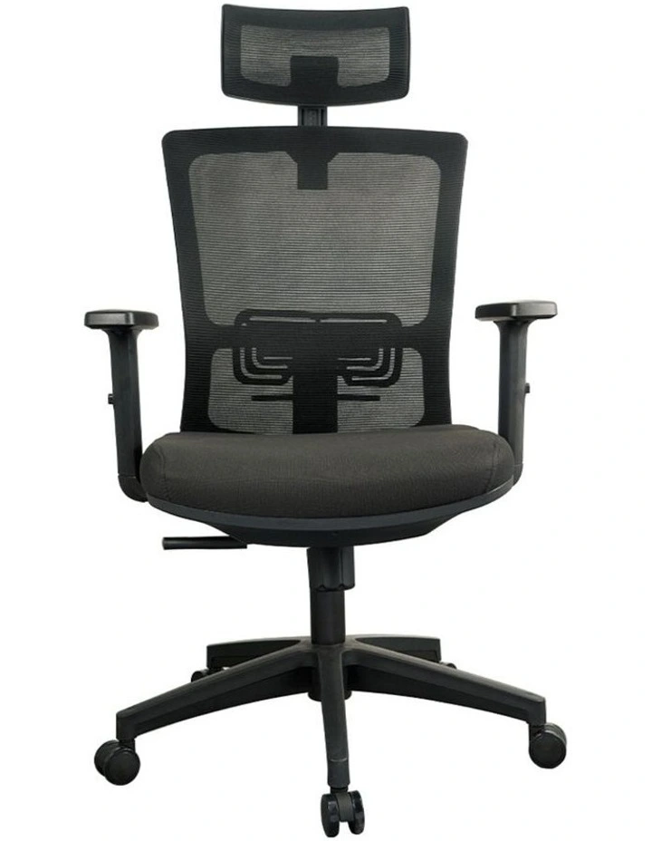 Zorae Ergonomic Office Chair with Wide Tall S-shaped Backrest Design in Black