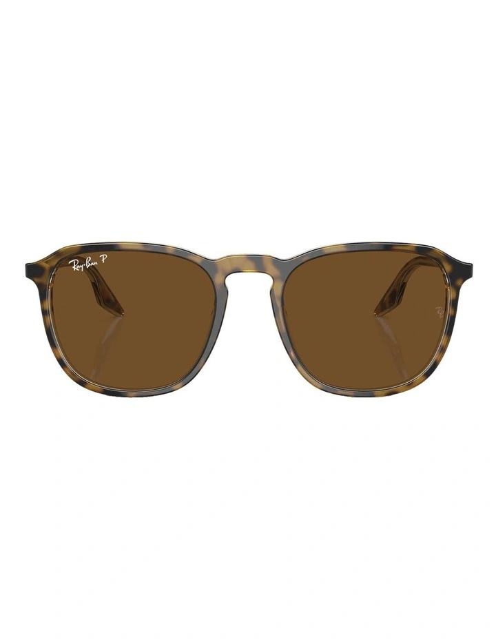 Polarised RB2203 Sunglasses in Tortoise