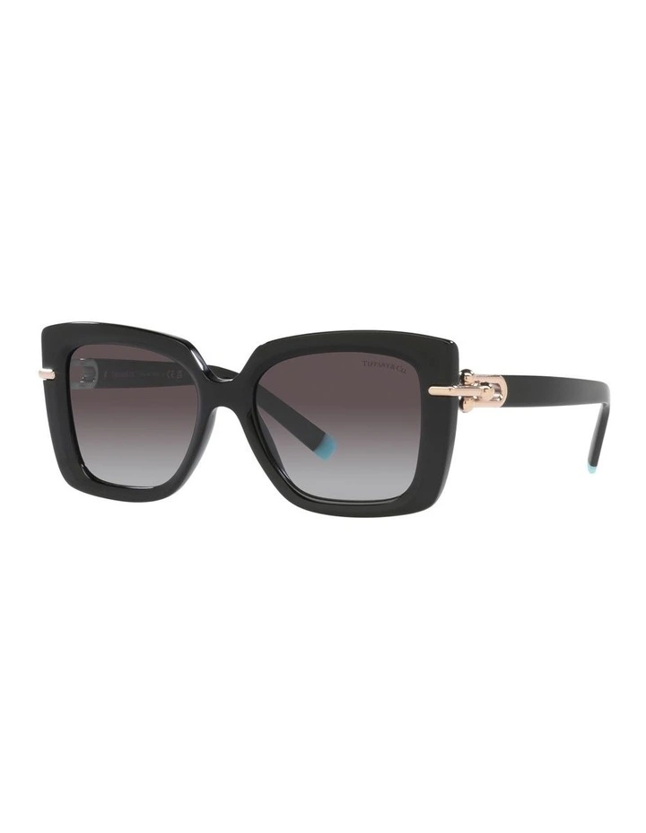 0TF4199F Sunglasses In Black