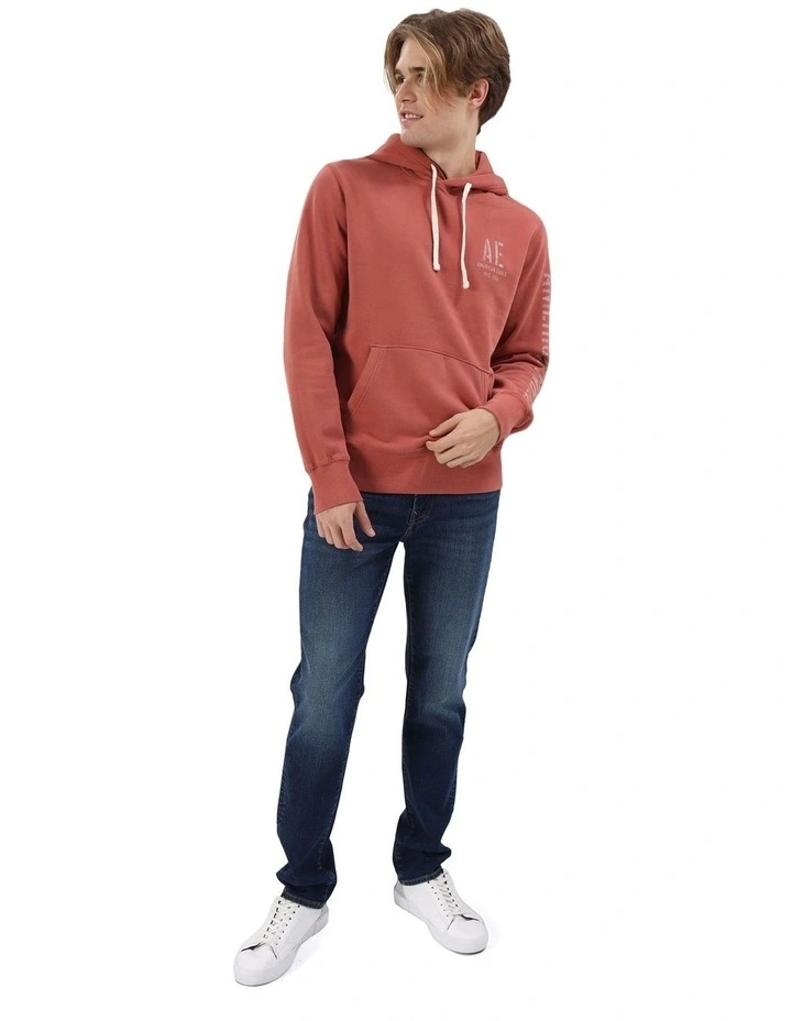 Super Soft Graphic Hoodie in Rust
