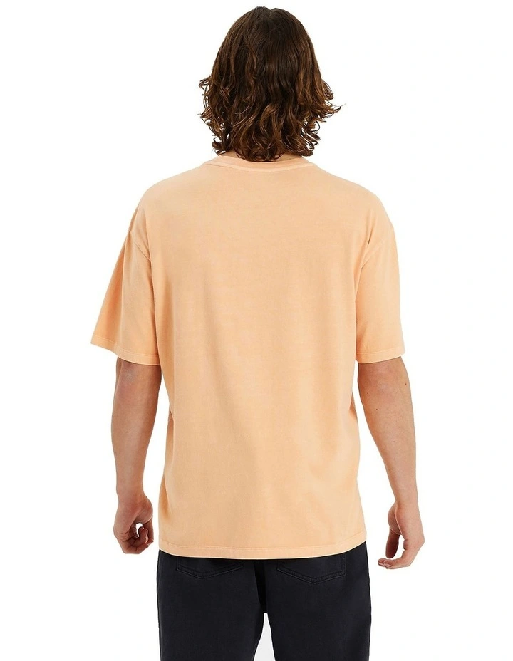 Southest Box Fit Tee in Pigment Peach Fuzz