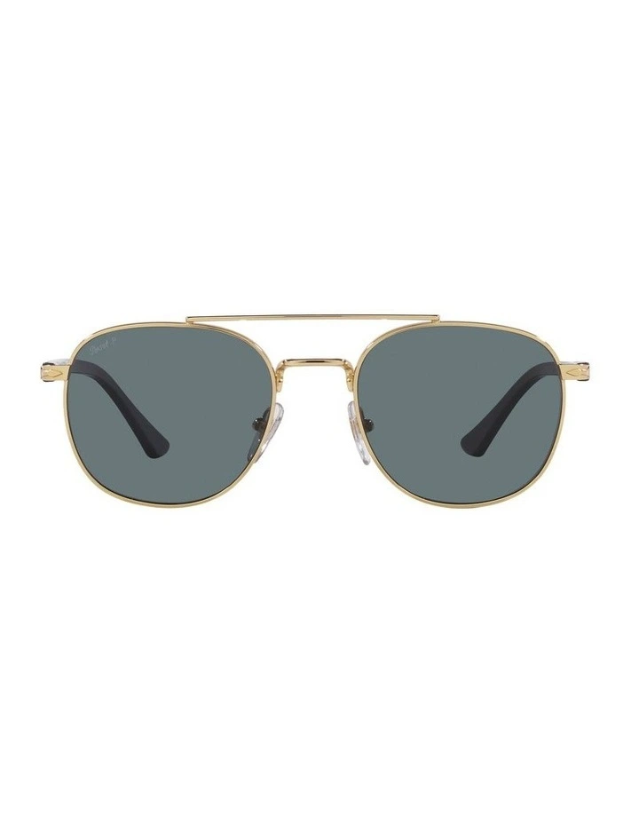 PO1006S Polarised Sunglasses in Gold