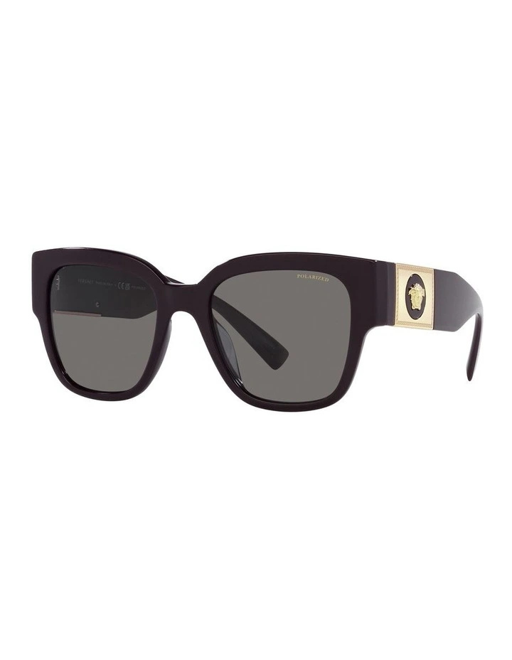 VE4437U Bordeaux Polarised Sunglasses
