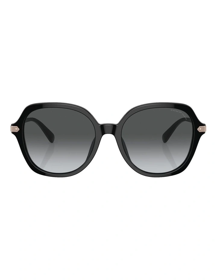 Polarised CL925 Sunglasses in Black