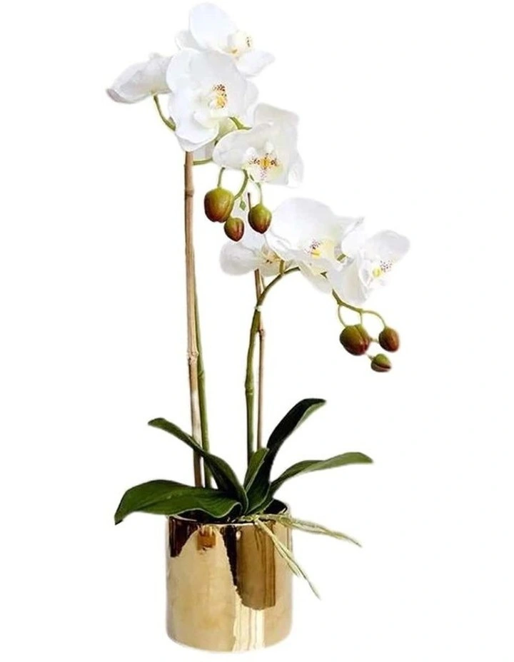 Real Touch 2 Stem Artificial White Orchid