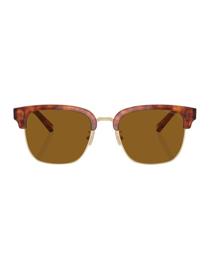 C6194 Polarised Sunglasses in Yellow